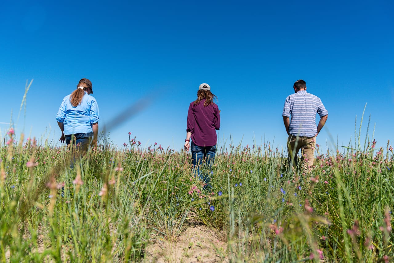 Collaborative Conservation in a Time of Discord