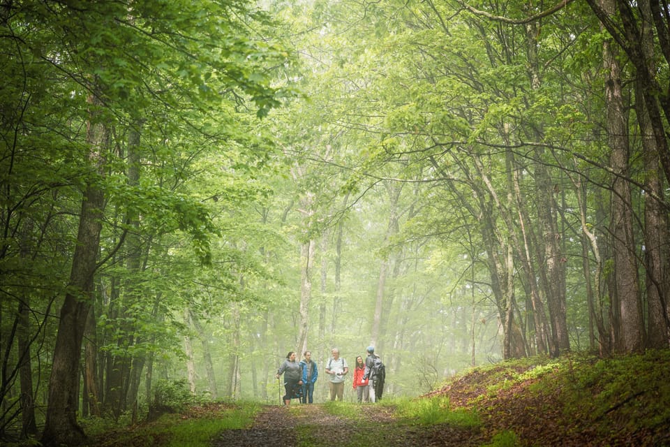 The Future of Common Ground